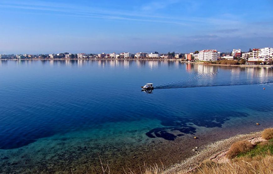 Μονοήμερη εκδρομή ΠΑΡΑΛΙΑ ΛΕΥΚΑΝΤΙ – ΧΑΛΚΙΔΑ!!